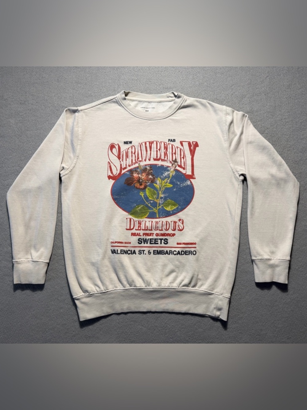 Urban Outfitters Strawberry Women’s Sweatshirt Medium Vintage Graphic Pullover